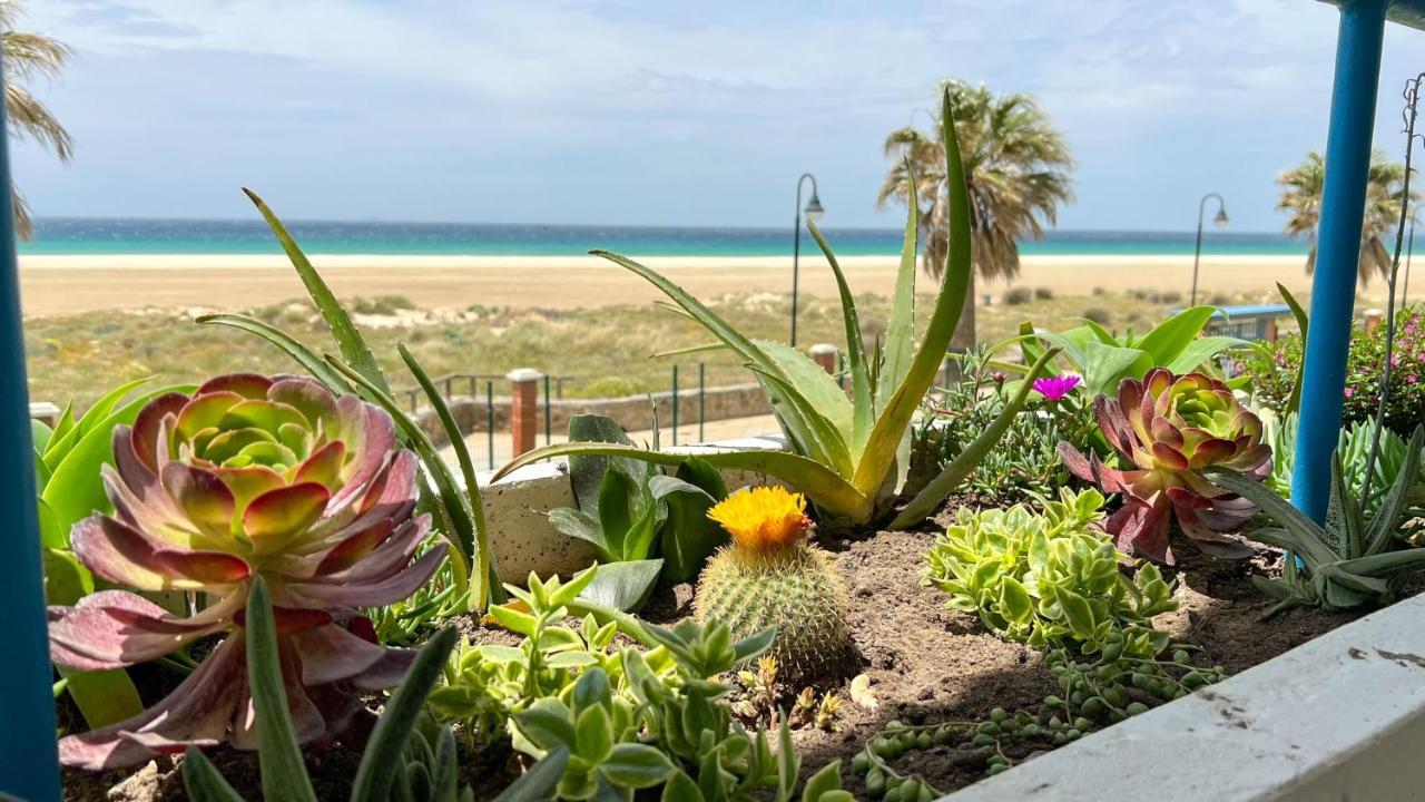 Tarifa Cozy House - Beachfront, Stylish Deco מראה חיצוני תמונה
